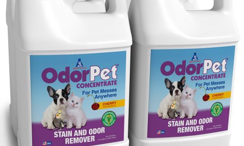 Beyond the Stink: A Holistic Approach to Expert Odor Removal