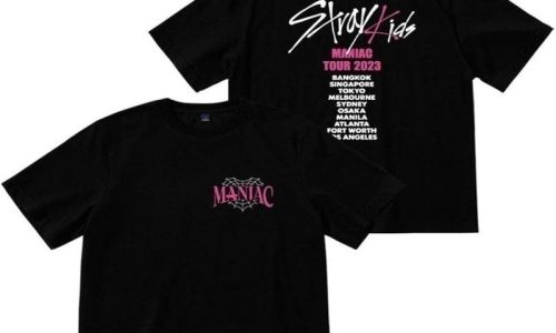 Express Your Love: Stray Kids Merchandise Haven