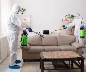 Affordable Pest Control Services: Saving Your Home from Pests