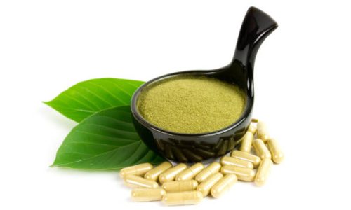 Understanding Kratom Laws in Florida