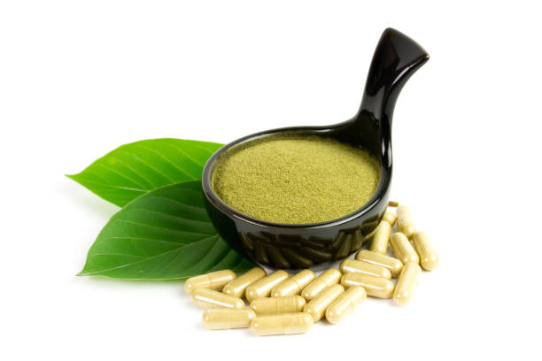 Understanding Kratom Laws in Florida